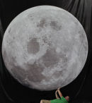 Day 197:
Holding up the moon
photographer :Hazel Anning